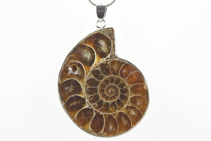 Fossil Ammonite Pendant - Million Years Old #306434